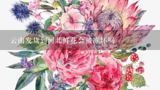 云南发货到河北鲜花会被冻坏吗