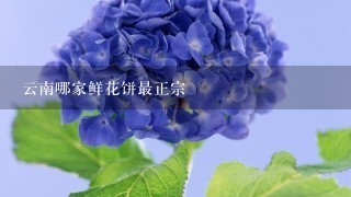 云南哪家鲜花饼最正宗