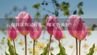 云南到深圳运鲜花，哪家物流好？