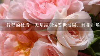 行程的最后1天是昆明游览世博园、鲜花市场自由活动