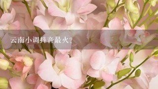 云南小调抖音最火？