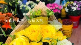 云南鲜花饼1句话文案