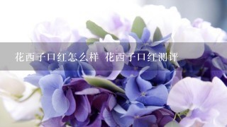 花西子口红怎么样 花西子口红测评