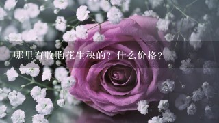 哪里有收购花生秧的？什么价格？