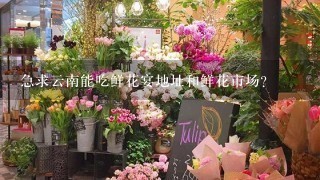 急求云南能吃鲜花宴地址和鲜花市场？