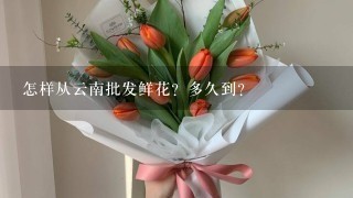 怎样从云南批发鲜花？多久到？