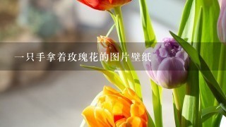 1只手拿着玫瑰花的图片壁纸