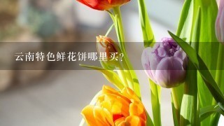 云南特色鲜花饼哪里买？