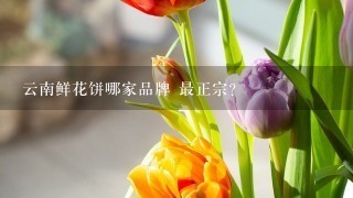 云南鲜花饼哪家品牌 最正宗？