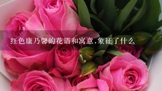 红色康乃馨的花语和寓意,象征了什么