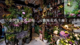 “全国鲜花看云南，云南鲜花看斗南”，斗南花市距昆明市区约18公里，是亚洲最大的鲜花交易市场，也是中国最大的花卉交易市场...