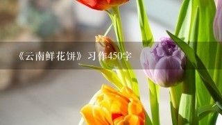 《云南鲜花饼》习作450字