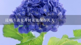 昆明斗南花卉鲜花能保存几天