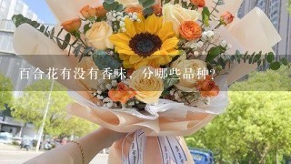 百合花有没有香味，分哪些品种？