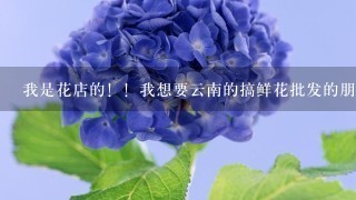 我是花店的！！我想要云南的搞鲜花批发的朋友发货！！