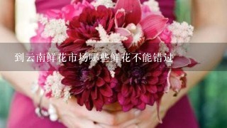 到云南鲜花市场哪些鲜花不能错过