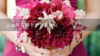 云南鲜花哪个季节最便宜