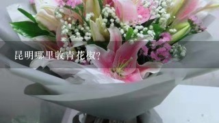 昆明哪里收青花椒?