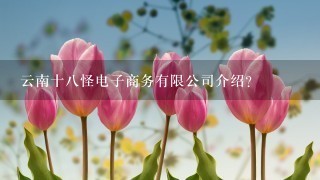 云南十8怪电子商务有限公司介绍？