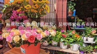 鲜花批发 想做鲜花批发，昆明哪家花卉市场比较好？