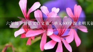 6年级下册语文作文第2单元600字跪求明天就要交了，急急急急急急急急急急急急急急！！！！！！！！！！