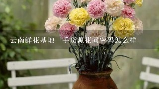 云南鲜花基地1手货源花间密码怎么样