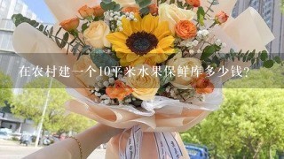 在农村建1个10平米水果保鲜库多少钱？