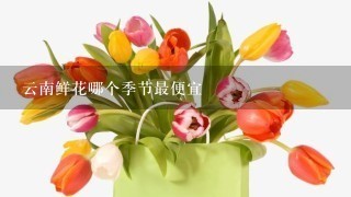 云南鲜花哪个季节最便宜