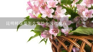 昆明鲜花是怎么发给全国批发商