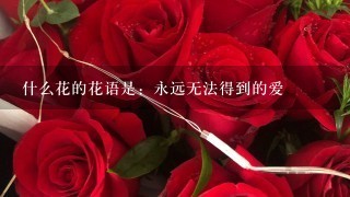 什么花的花语是：永远无法得到的爱