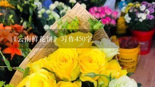 《云南鲜花饼》习作450字