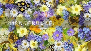 云南玫瑰花鲜花饼怎么样？