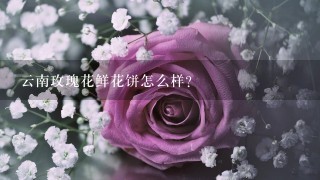 云南玫瑰花鲜花饼怎么样？