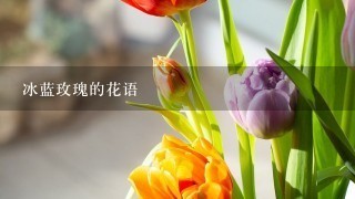 冰蓝玫瑰的花语