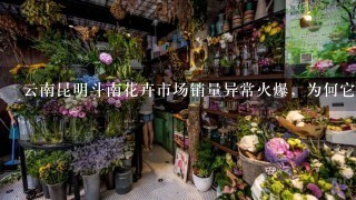 云南昆明斗南花卉市场销量异常火爆，为何它能成为亚