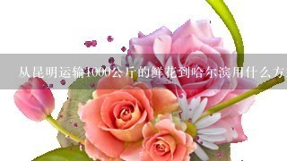 从昆明运输1000公斤的鲜花到哈尔滨用什么方式最合理