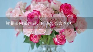 鲜花买回家以后，应该怎么去养护