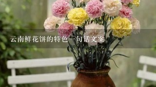 云南鲜花饼的特色1句话文案