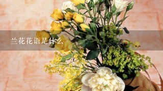 兰花花语是什么