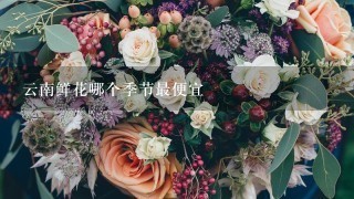 云南鲜花哪个季节最便宜