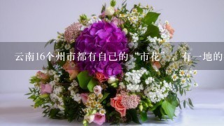 云南16个州市都有自己的“市花”，有1地的很特别