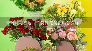 云南鲜花基地1手货源花间密码怎么样