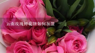 云南玫瑰鲜花饼如何加盟