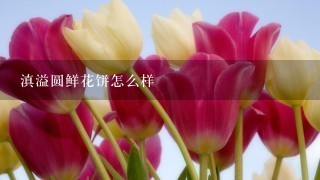 滇溢圆鲜花饼怎么样