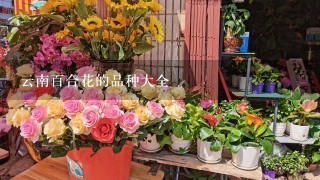 云南百合花的品种大全
