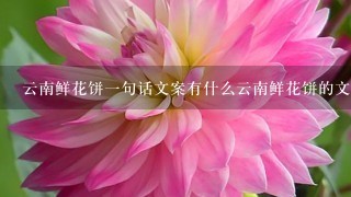 云南鲜花饼1句话文案有什么云南鲜花饼的文案