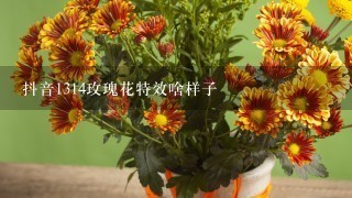 抖音1314玫瑰花特效啥样子