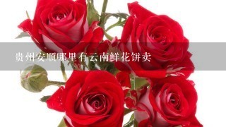 贵州安顺哪里有云南鲜花饼卖