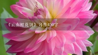 《云南鲜花饼》习作450字