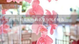 花店常用鲜花配叶的名字与图片精选